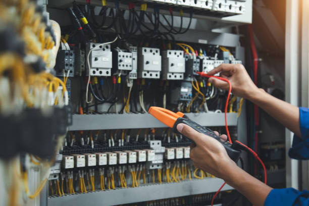 Best Electric Panel Repair  in Strawberry Plains, TN